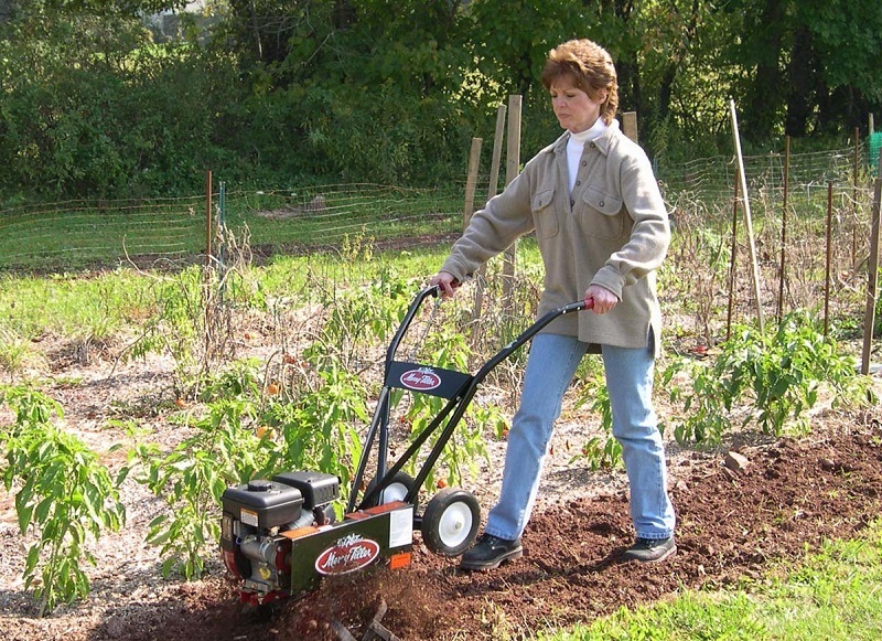 will tilling kill weeds