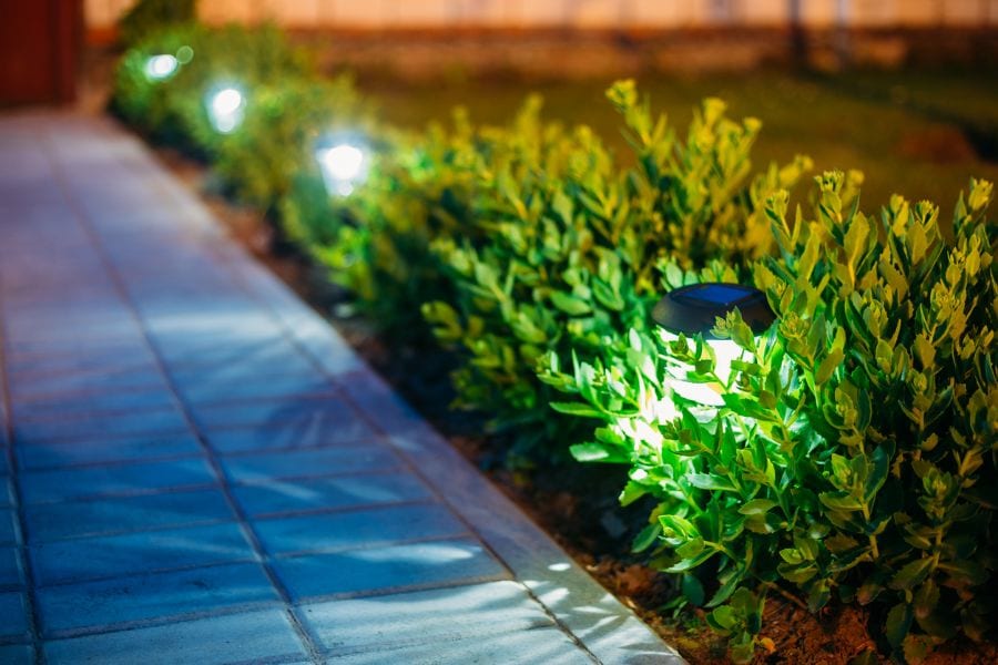 can i use grow light at night