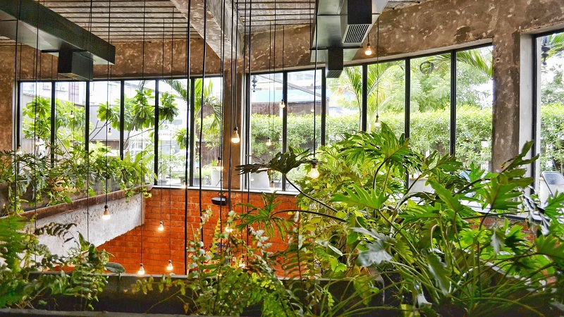 best indoor gardening