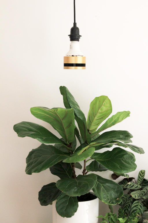 how to position grow lights