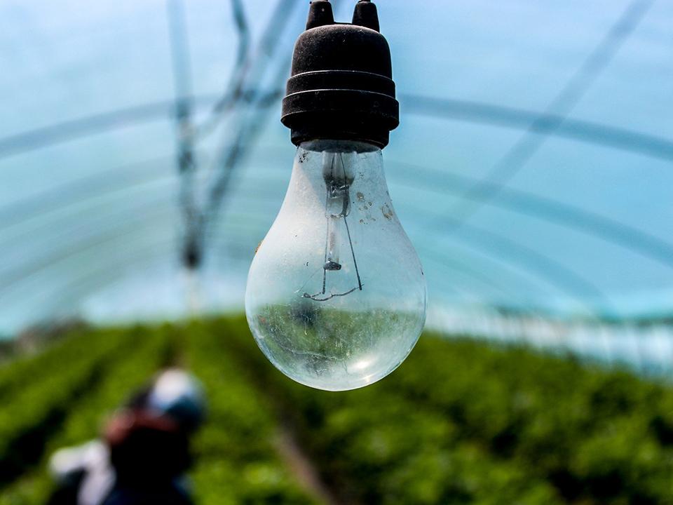 do i need grow lights in a greenhouse