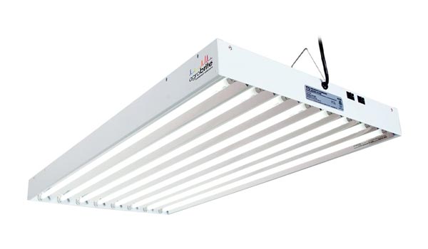 can you use regular fluorescent lights to grow plants
