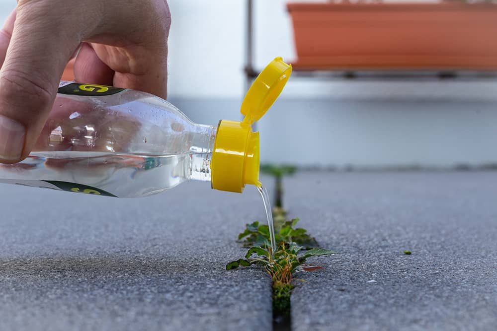how do you mix vinegar to kill weeds