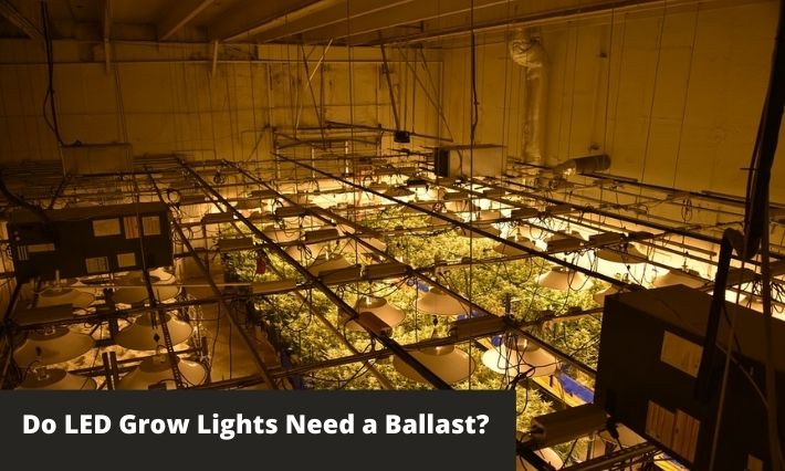 do i need a ballast for led grow lights