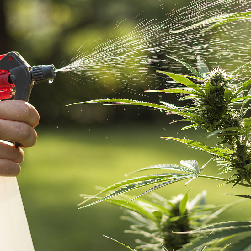 does weed killer expire