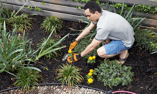 how to kill weeds without roundup