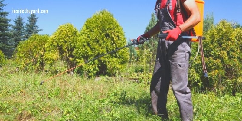 how long does weed killer need before rain