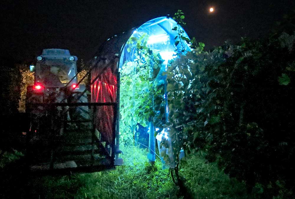 do grow lights kill mold