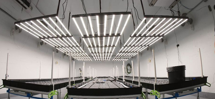 do led grow lights use a lot of electricity